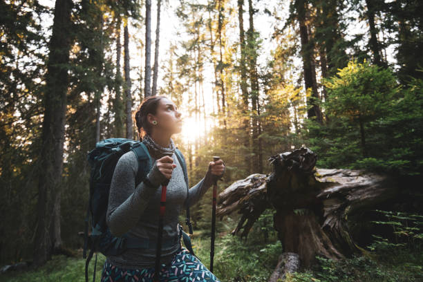 istock Woman hiking in forest. 1170483507