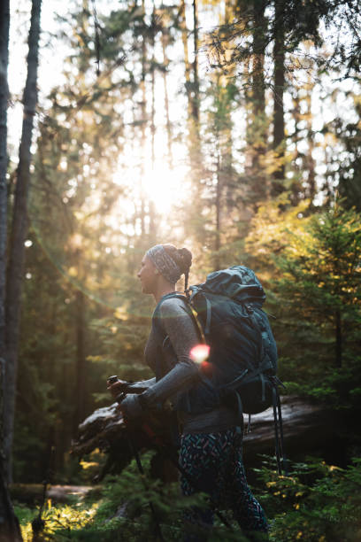 Beautiful Latino woman hiking in green forest, Sunbeams Streaming Through Trees.