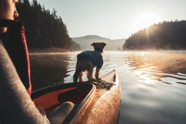 Photo of Rear view of woman and her dog on the edge of kayak