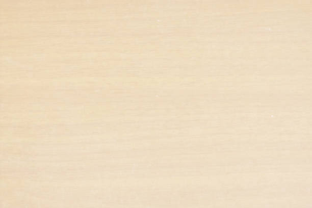 ilustraciones, imágenes clip art, dibujos animados e iconos de stock de vector horizontal ilustración de un fondo de material texturizado con manchas de color marrón claro vacío - wood background