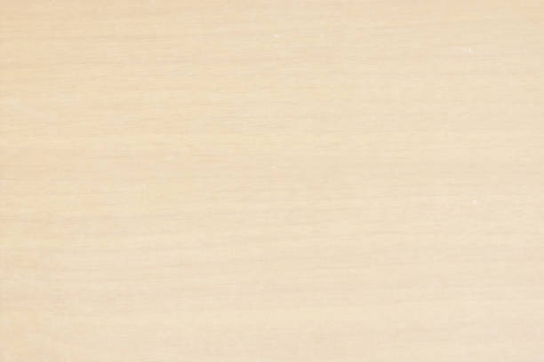 istock Horizontal vector Illustration of an empty light brown fawn grungy textured stock background 1170483797