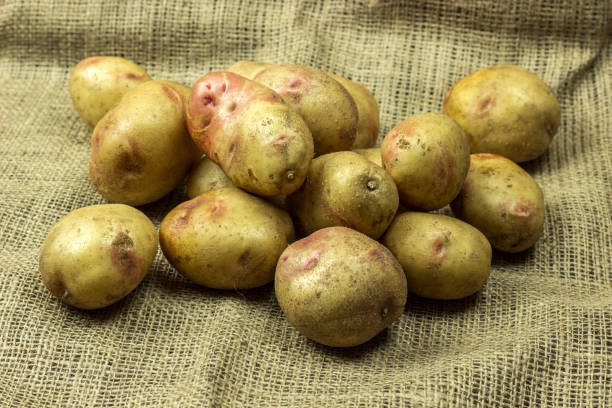 istock pile of potatoes on burlap 1170484458