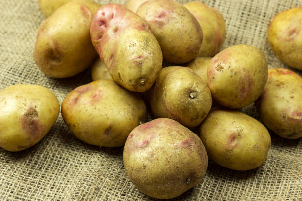 istock pile of potatoes on burlap 1170484483