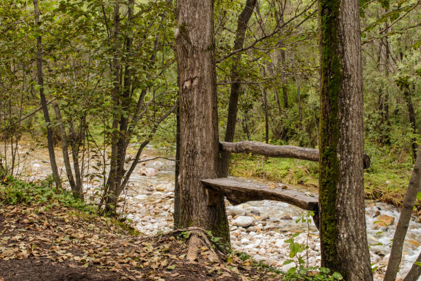 istock Forest bench by the mountain river for tourists to relax. 1170487252