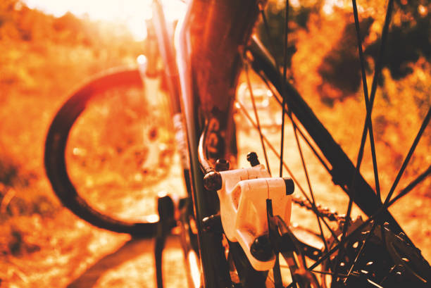 Rear view of a mountain bike on a trail
