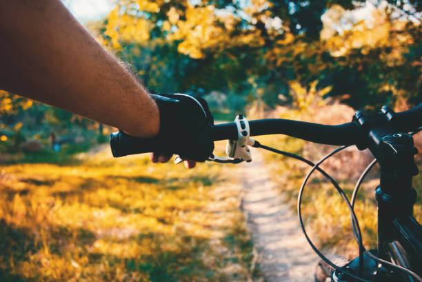 istock Mountain bike background 1170487518
