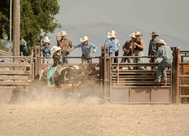 istock A Cowboy riding a bull in a rodeo arena 1170491822