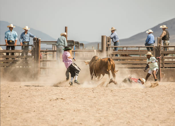 istock A Cowboy being thrown from a bull 1170491823