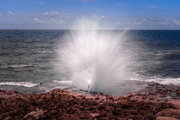 Water is a transparent and nearly colorless chemical substance that is the main constituent of Earth's streams, lakes, and oceans, and the fluids of most living organisms