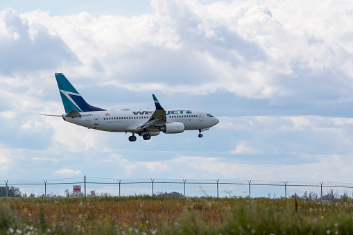 A WestJet Airlines Boeing 737-700,with identification C-GWSU,landing at Edmonton International Airport on August 25, 2019