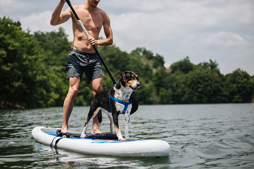 Expert kayaking athlete exercising his aquatic sports skills with his dog