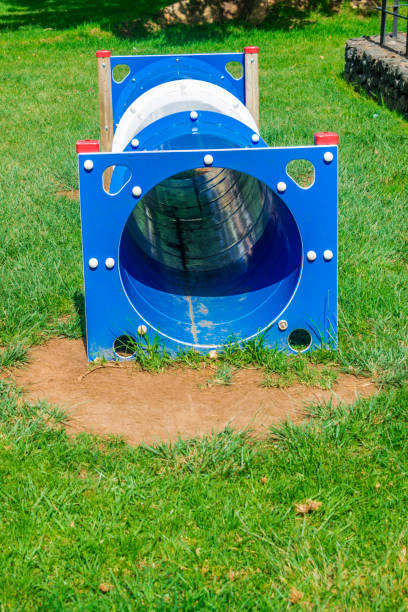 beige labrador puppy running through dog agility tunnel outdoors in garden on sunny summer day