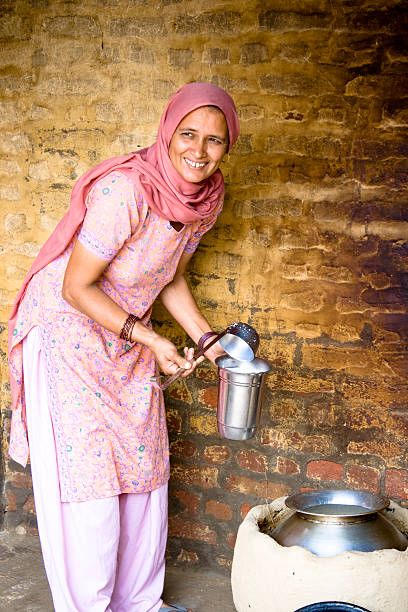 istock Cheerful Rural Indian Woman 117050063