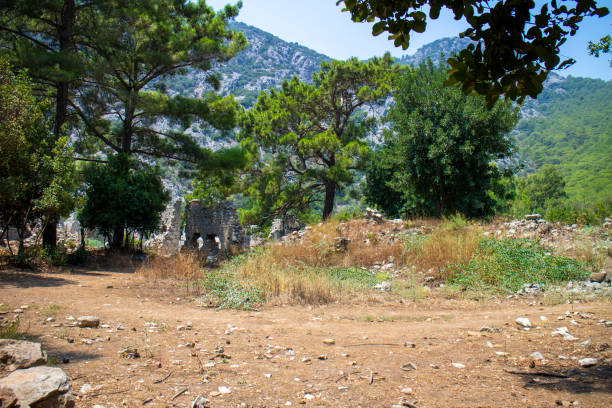 istock Olympos ancient city ruins Antalya Turkey 1170502012