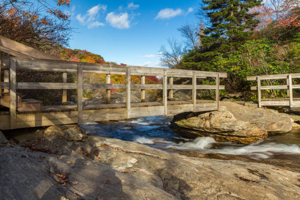 istock Footbridge over North Carolina Mountain Stream 1170502887