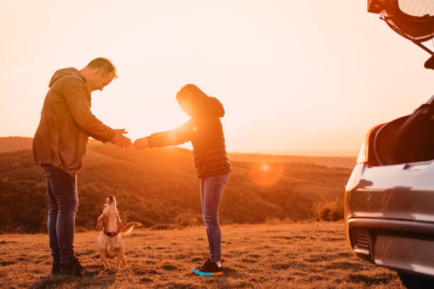 father and daughter paying with dog at camping on the hill - late afternoon imagens e fotografias de stock