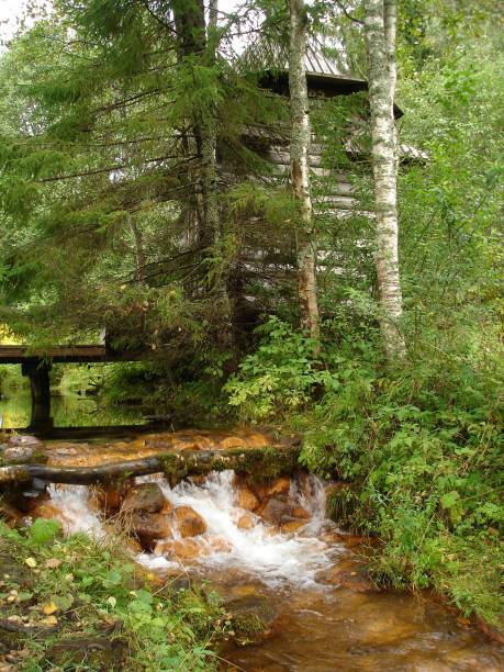istock old chapel by a stream in the forest 1170504791