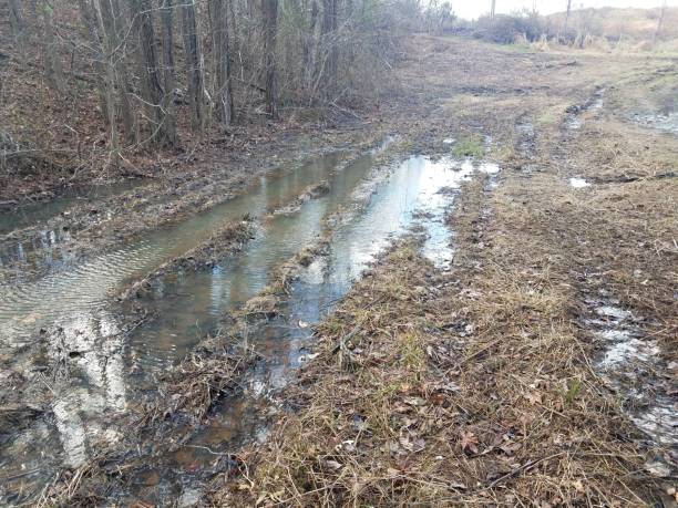 istock mud puddle on trail or path in the woods with trees 1170504931