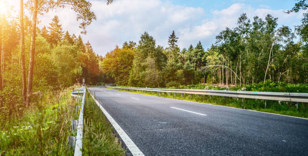 istock Long Curvy Forest Road In Alpine Mountains 1170505940