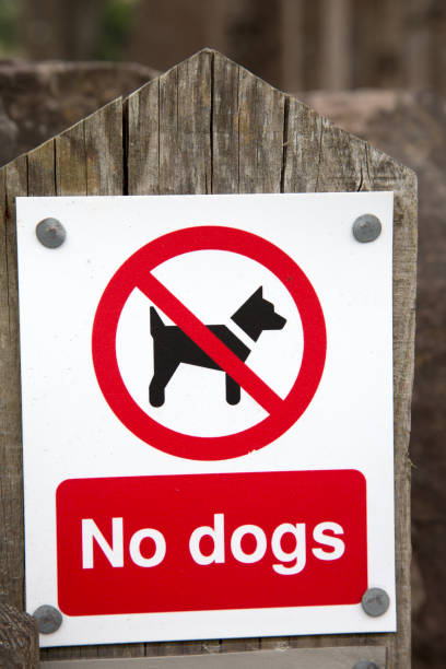 istock Dog Prohibition Sign 1170505979