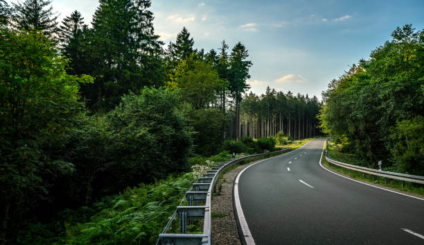 istock Long Curvy Forest Road In Alpine Mountains 1170505988