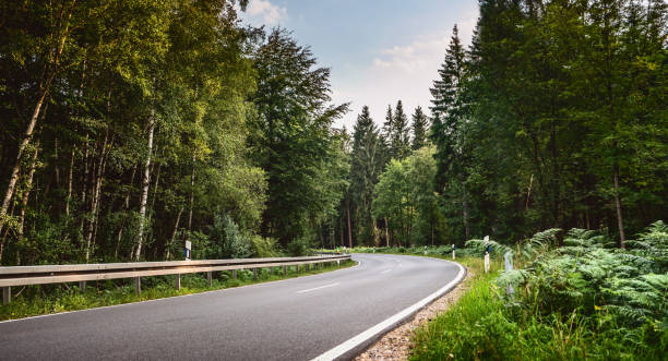 istock Long Curvy Forest Road In Alpine Mountains 1170505990