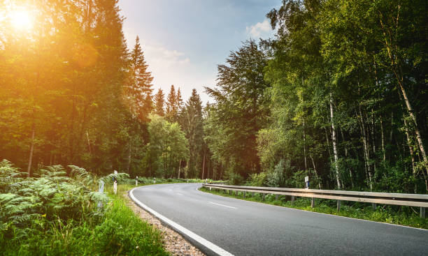 istock Long Curvy Forest Road In Alpine Mountains 1170505991