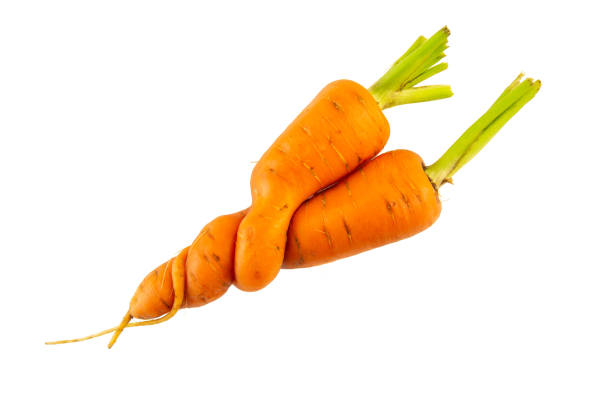Hugging carrots isolated on white background stock photo