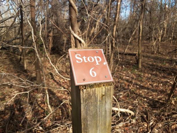 istock red stop 6 sign on wood post in forest 1170507518