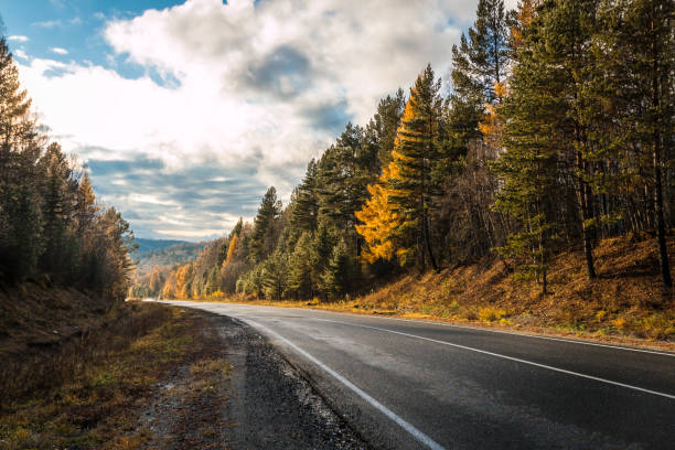 istock asphalt road in the autumn in the forest 1170507616