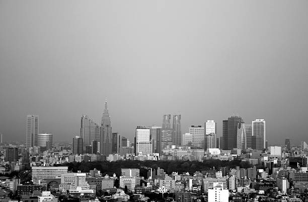 istock Tokyo, capital of Japan 117050936
