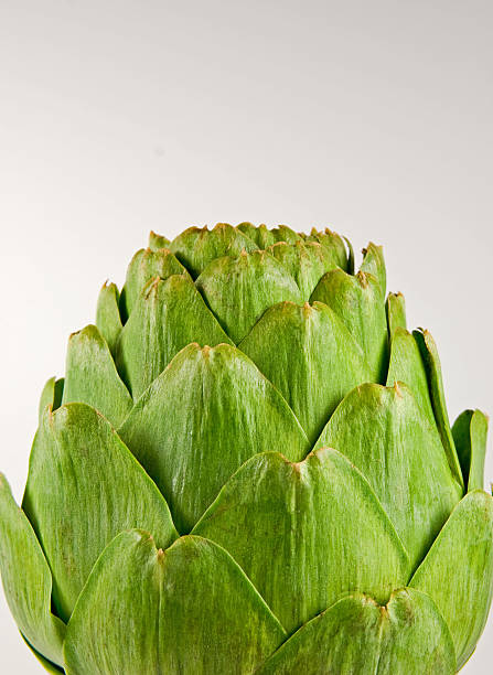 Raw Uncooked Artichoke