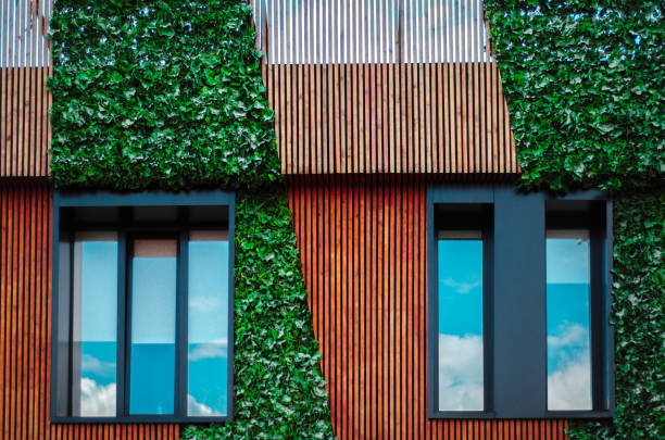 istock wall with windows, house covered with green ivy. 1170510662