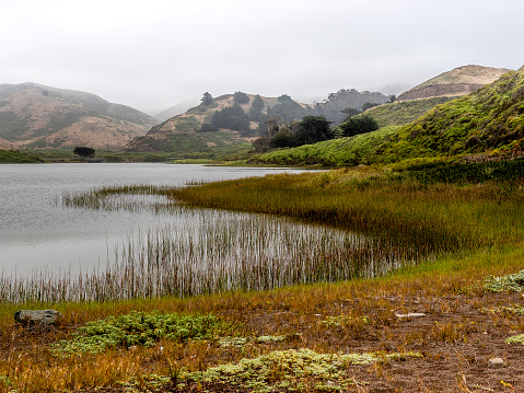 Panoramic view of Rodeo Lagoon on a foggy morning, viewed from the west, featuring green tones and lots of copy space. Marin Headlands, San Francisco, California, USA