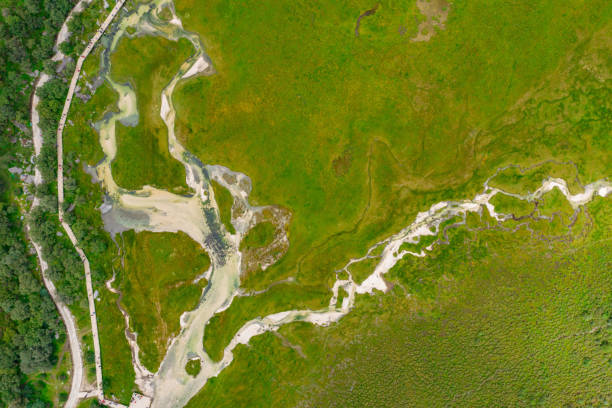istock Plateau Wetland in Aden 1170513712
