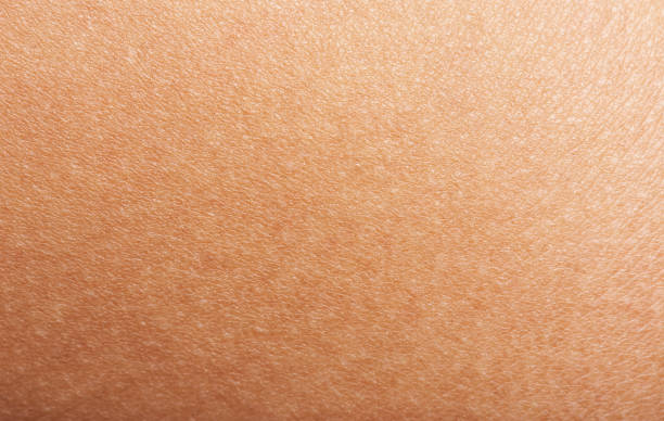 istock Human Arm Skin Close-up View. 1170513980