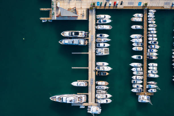 istock Top view of harbor with many boats 1170515625