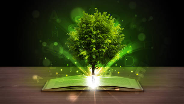 istock Open book with magical green tree and rays of light 1170516643