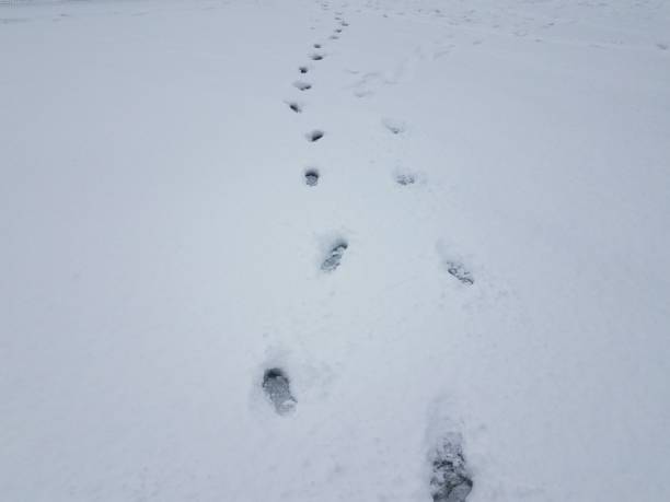 istock foot prints or tracks in white snow 1170517852