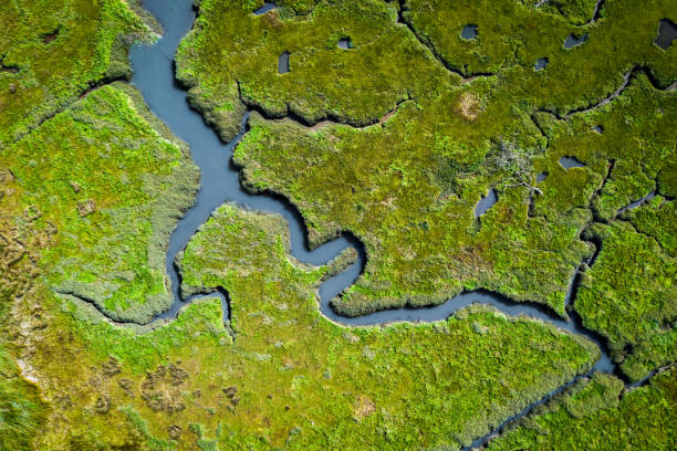 vue aérienne des zones humides côtières luxuriantes au pays de galles, r-u - zone humide photos et images de collection