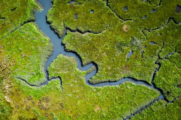 Photo of Aerial view of lush coastal wetlands in Wales, UK
