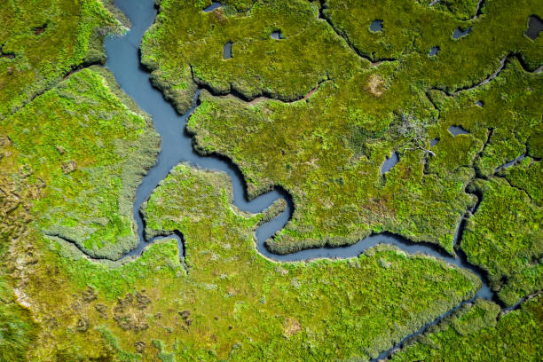 vista aérea de pantanais litorais exuberantes em wales, reino unido - paul - fotografias e filmes do acervo