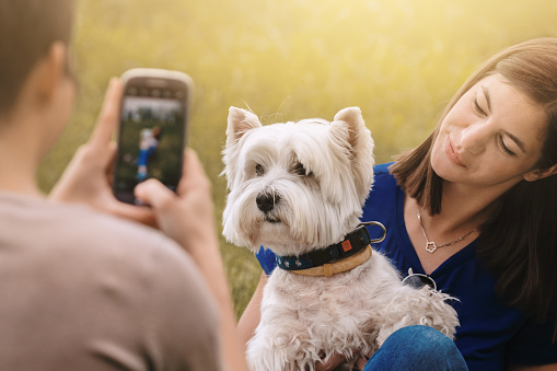 Young woman photographing a friend with a dog in the front of a wheat field using smart phone.