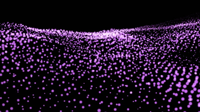 Abstract purple particles waving organic motion defocused and focus with glowing dots on black bacground , technology concept.