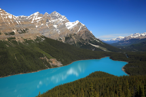 The famous Peyto Lake, Canadian Rockies.  One of the classic shots of the Canadian Rockies.