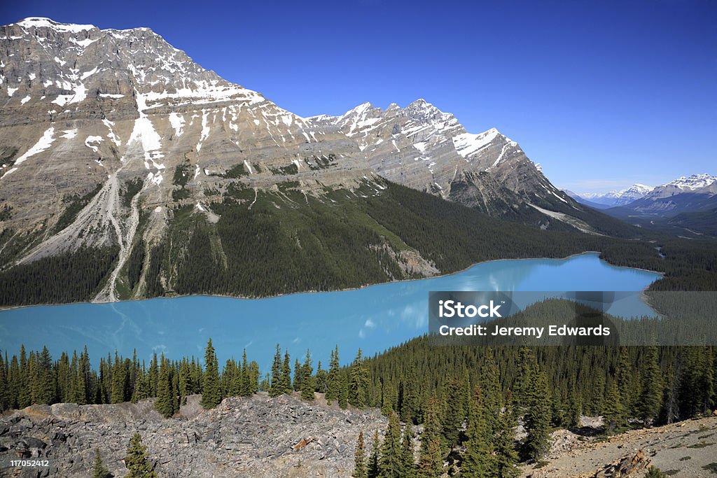 Lago Peyto, Montanhas Rochosas Canadianas - Royalty-free Alberta Foto de stock