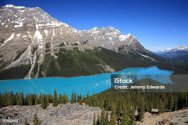 Lago Peyto Montanhas Rochosas Canadianas - Fotografias de stock e mais imagens de Alberta - Alberta, América do Norte, Ao Ar Livre