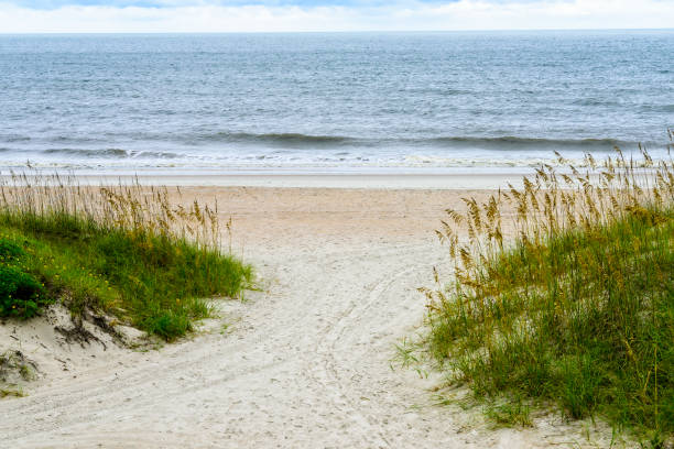 scena sulla spiaggia a amelia island, florida - sand beach sand dune sea oat grass foto e immagini stock