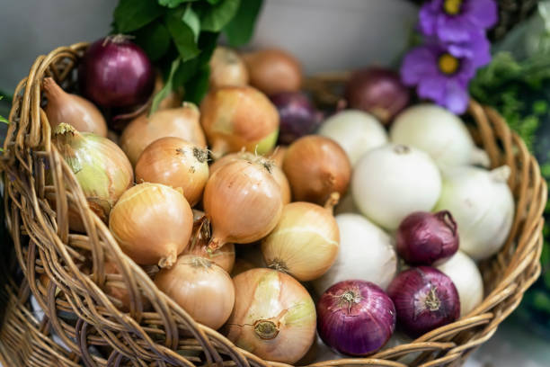 Assorted onions of different varieties. Basket with fresh organic vegetables, Live vitamins, selectiv focus. Farmers market