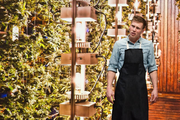 istock Man working in a marijuana shop and is confused 1170525853